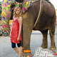 Image for article titled Free People: Someone Watched The Darjeeling Limited Before Booking This Photo Shoot
